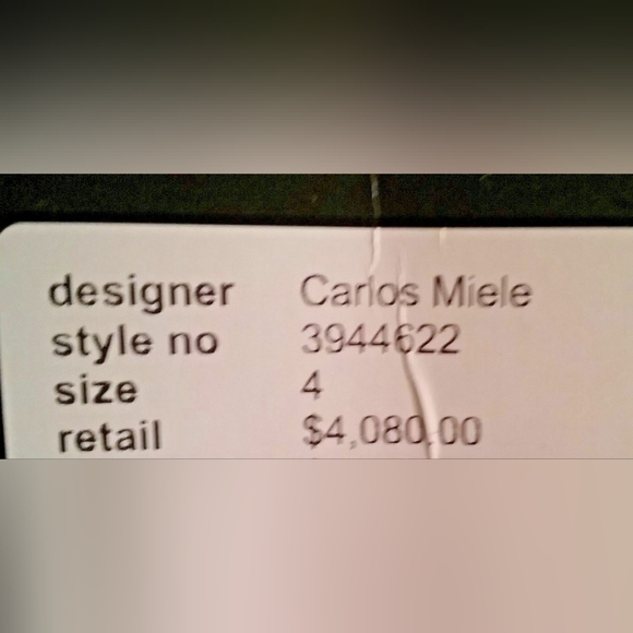 ^$4,000 NEW CARLOS MIELE SILVER SILK CHIFFON CRYSTAL BEADS RUNWAY GOWN US 4 - Picture 8 of 9